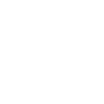Scale