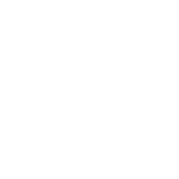PSafe