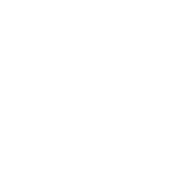 СМИ2