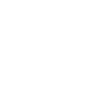 VICE