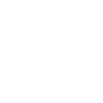 WebAssembly