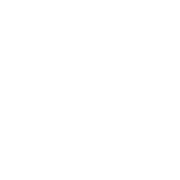 有道