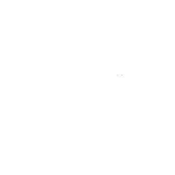 Южный Федеральный