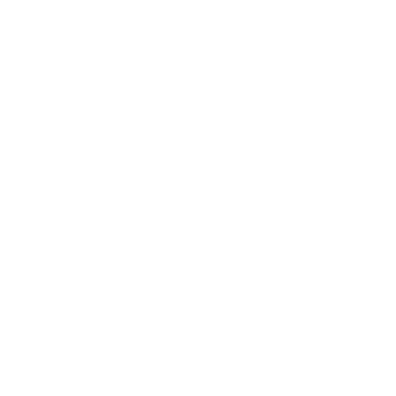 Elisa