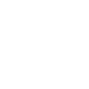 Mattel