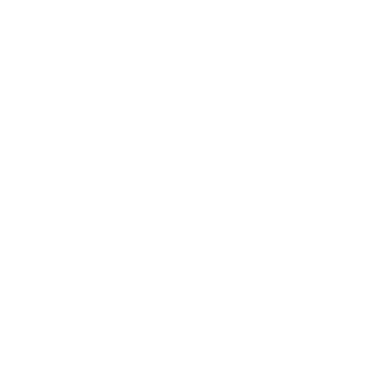 VIZ