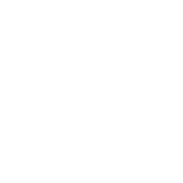 stylus