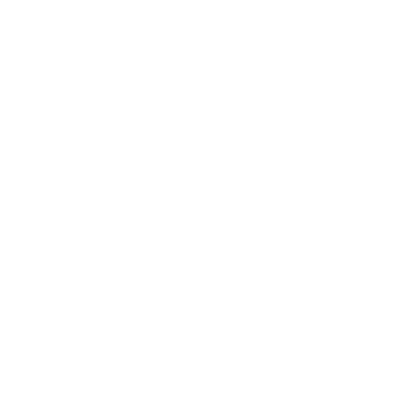Cricket Wireless