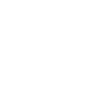 iData