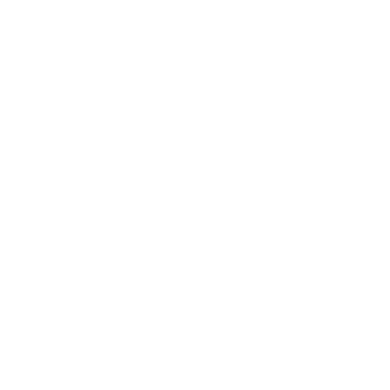 Magi